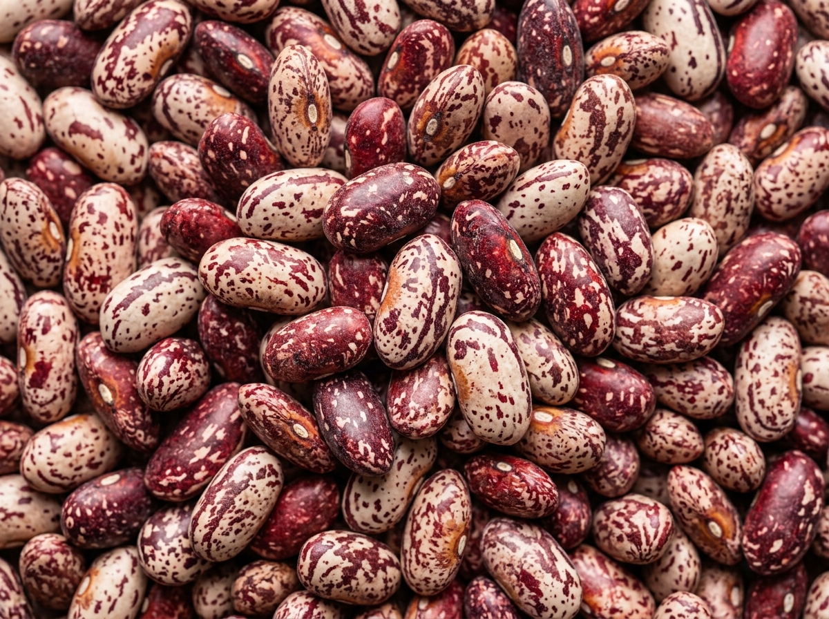 Red Speckled Beans