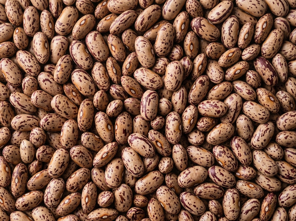 Sugar Beans