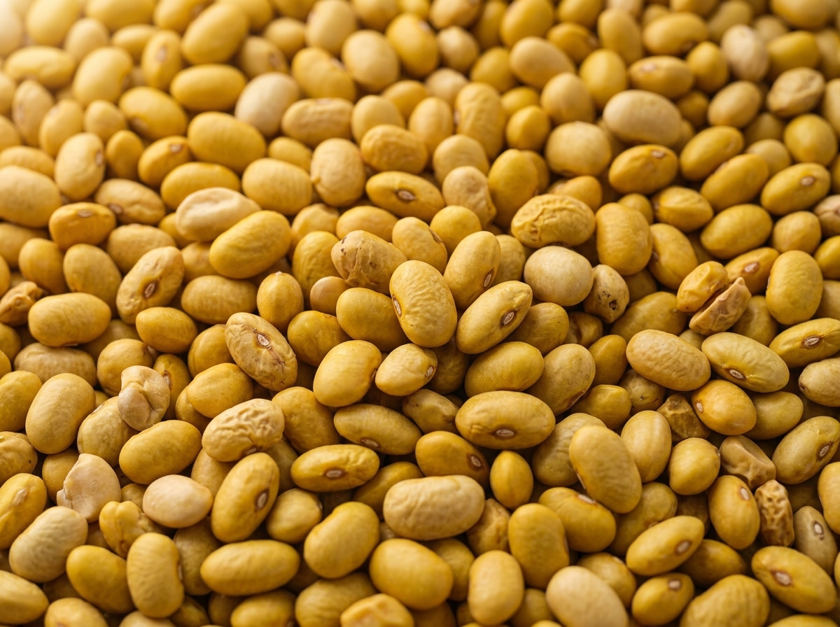 Yellow Beans